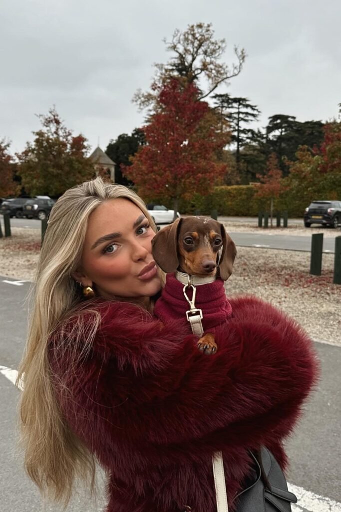 Burgundy Faux Fur Coat + Black Handbag + Burgundy Dog Sweater (with Dachshund)