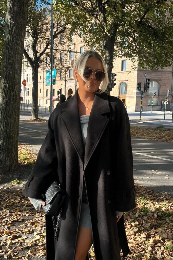 Black Coat + Gray Dress + Black Purse