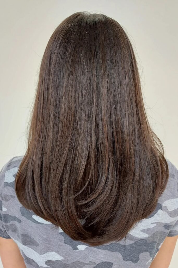 Sleek Straight Cut with Subtle Layered Tips